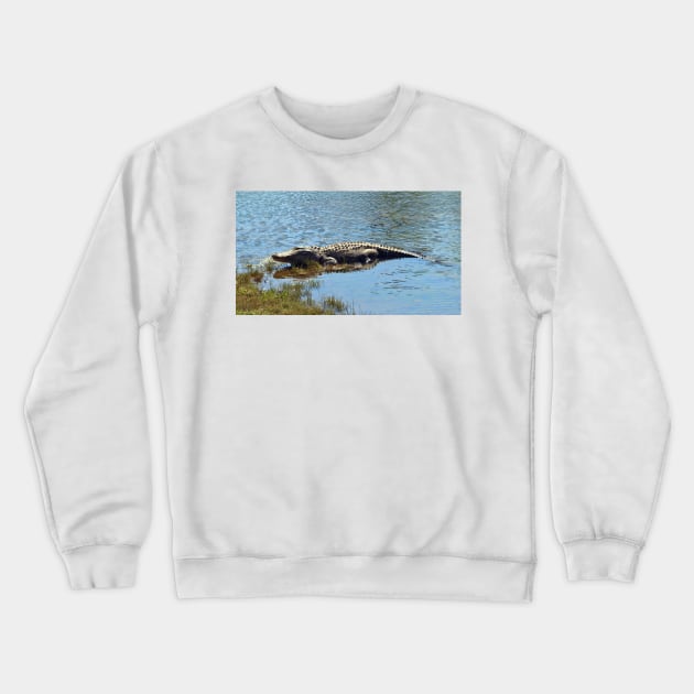 Gator Portrait Crewneck Sweatshirt by Cynthia48